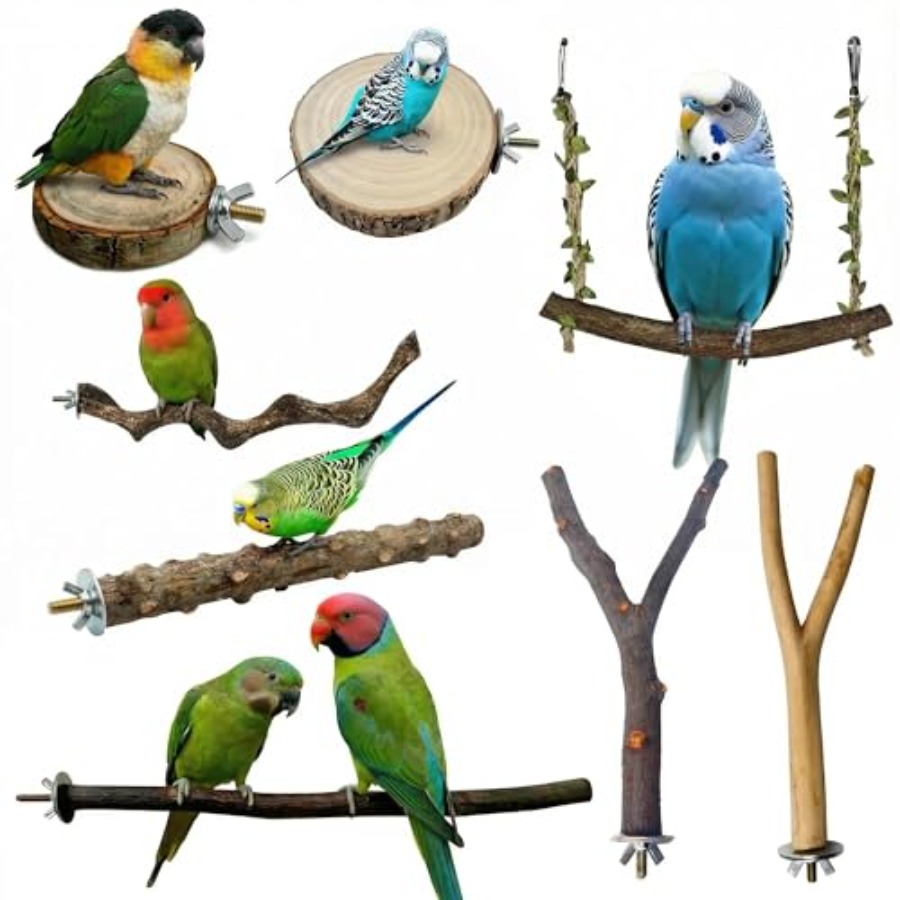 8PCS natural wood bird perches - Health & Wellness Japan ulasan dan harga